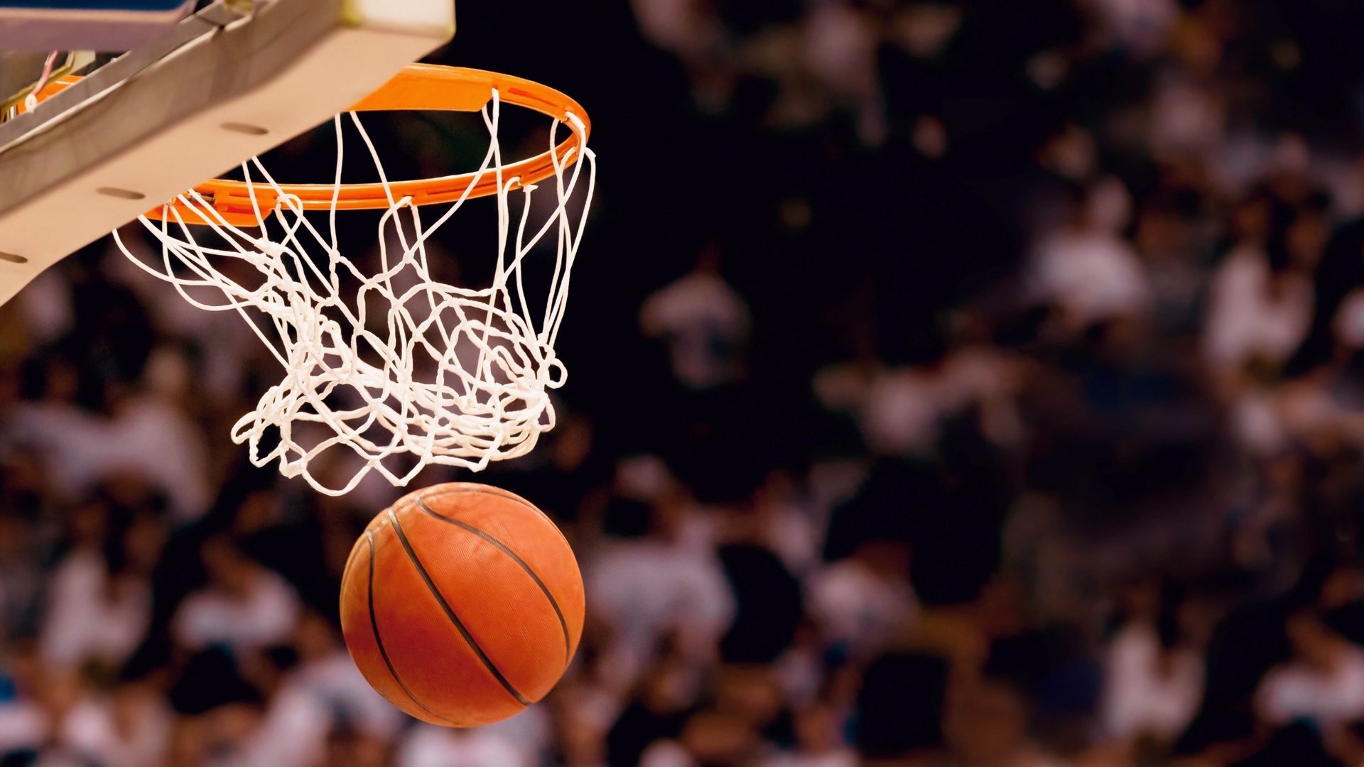 溃败之后，NBA总决赛连败者的声音，不甘与坚韧的交响|C7体育官方入口